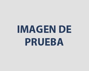 Producto de Prueba 6